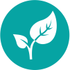 Biomassza alapú gazdaság fejlesztése